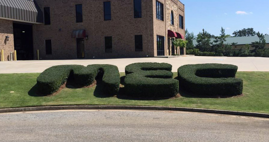 Braselton, Georgia Branch